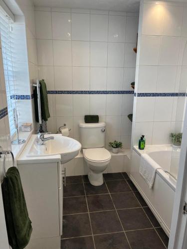 a bathroom with a toilet and a sink and a tub at High Trees in Chichester