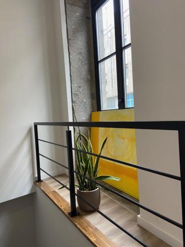 a plant sitting on a shelf next to a window at Daisy Street Guesthouse in Braga