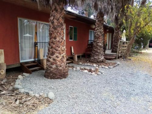 two palm trees in front of a house at Hostal Santa Elena in Isla de Maipo
