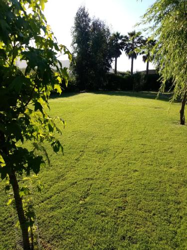 a large field of grass with trees in the background at Hostal Santa Elena in Isla de Maipo