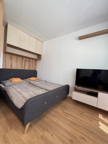 ブラチスラヴァにあるBeautiful apartment near the city centerのベッドと薄型テレビのある寝室