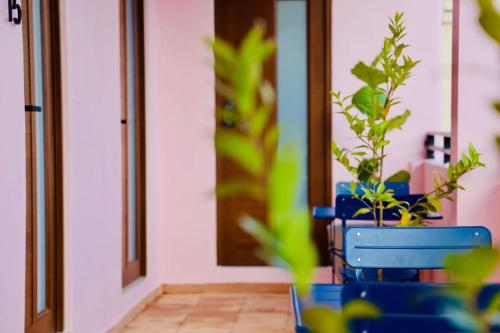 a room with a blue chair and a plant at Room 16 Grand King Suite with Desk & Sofa Bed in San Juan