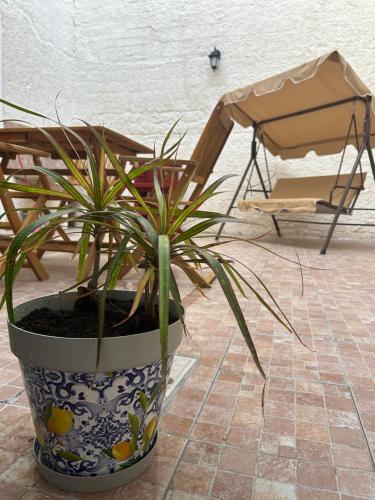 a potted plant sitting on a tile floor next to a chair at Sicilia nel Cuore Apartment in Cassibile