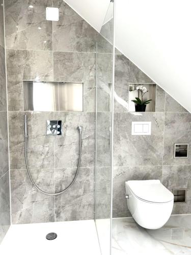 a bathroom with a shower and a toilet at Play-LuXX, Zirndorf Nürnberg in Oberasbach