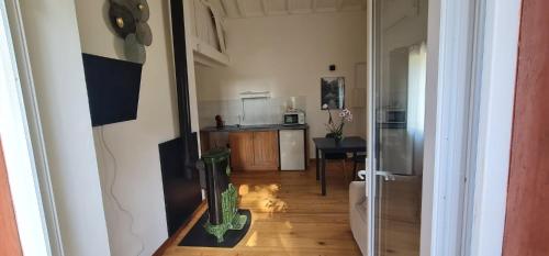 un couloir avec une cuisine et un chien dans une chambre dans l'établissement Gîtes du Piston, à Gourbera