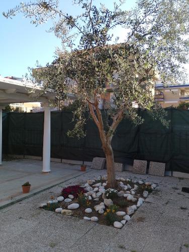 a tree in a garden with rocks around it at Stella Marina in Torvaianica