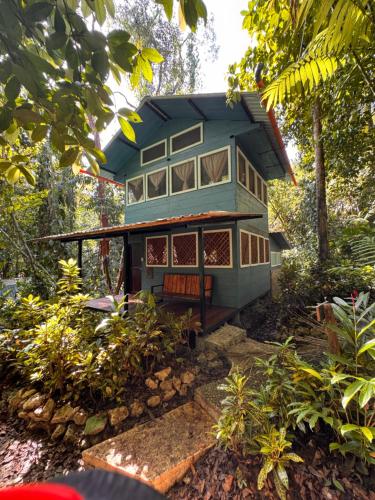 a blue house in the middle of a garden at Finca Tatin Hotel in Lámpara