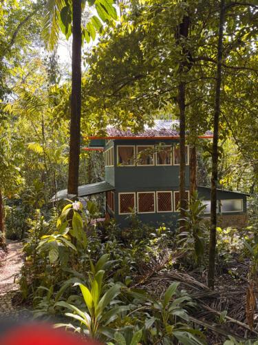 a house in the woods with trees at Finca Tatin Hotel in Lámpara