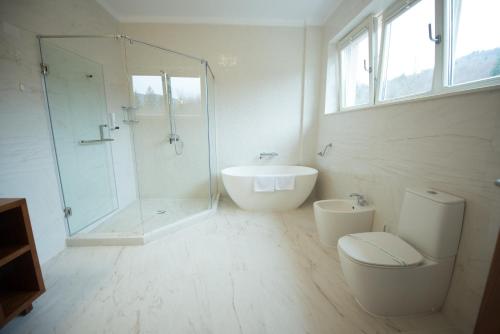 a bathroom with a shower and a toilet and a sink at Hotel TTS**** Spa&Wellness Covasna in Covasna