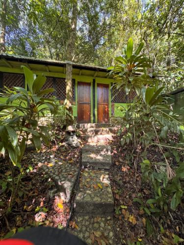 a green house with a wooden door in a forest at Finca Tatin Hotel in Lámpara