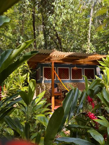 a small house in the middle of a forest at Finca Tatin Hotel in Lámpara