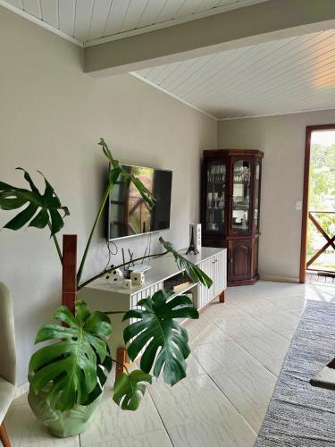 a bathroom with a sink and two plants at Chalé Vista Azul in Domingos Martins