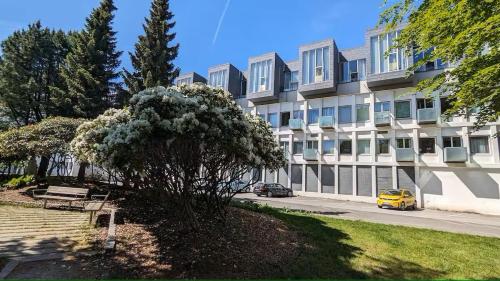 a large building with a tree in front of it at Stylish urban apartment in Stavanger