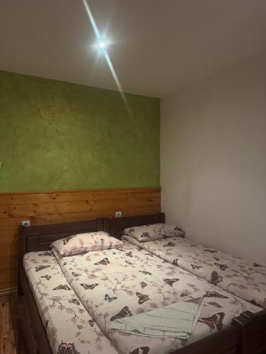 a bedroom with two beds and a green wall at Guest House Ethno Village Milogora in Pluzine