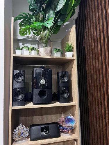 une étagère avec des haut-parleurs et une plante en pot dans l'établissement Lille Flandre, à Lille