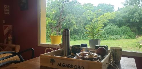 Κήπος έξω από το Albero Suites Serranas