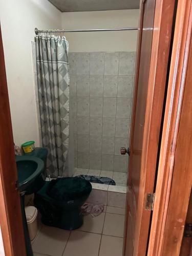 a bathroom with a green toilet and a shower at Casa comoda con seguridad privada cerca de la playa in Presidente Tamayo