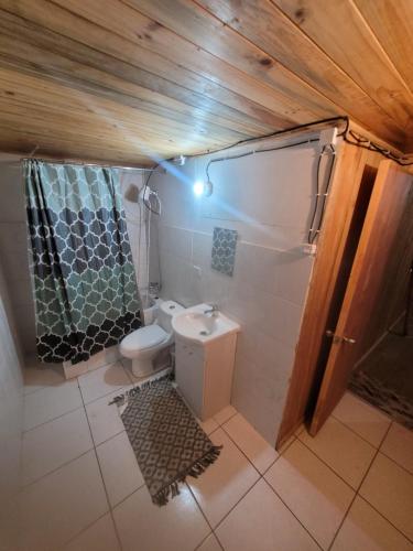 an overhead view of a bathroom with a toilet and shower at Alojamientos Bernal in Constitución