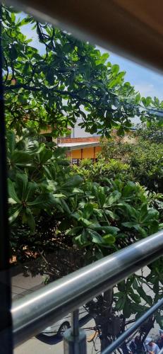 Ein Garten an der Unterkunft Hotel RUTA365