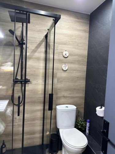 パス・ダ・ラ・カザにあるSapporo, a pie de pistas Pas de la Casaのトイレとガラスのシャワー付きのバスルーム