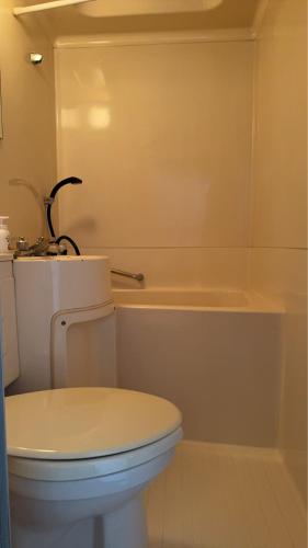Salle de bains dans l'établissement Tsubame Highland Lodge燕ハイランドロッジ