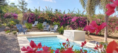 a swimming pool in a garden with chairs and flowers at Mar y Montaña in Copecito