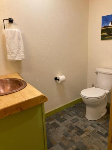 a bathroom with a toilet and a sink at Downtown Camden Hotel in Camden