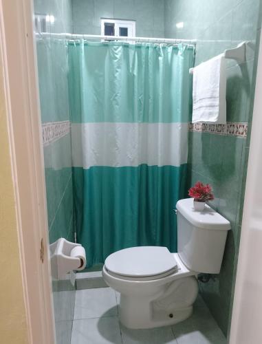 a bathroom with a toilet and a green shower curtain at Apartment in Finca Mayfran in Xul-Ha