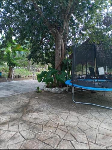 a blue chair sitting in front of a tree at Apartment in Finca Mayfran in Xul-Ha