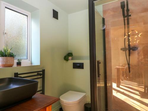 a bathroom with a toilet and a sink and a shower at Hyrst Rise in Forest Row