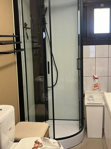 a bathroom with a shower and a toilet at chaletje tis-ier-goed in Jabbeke