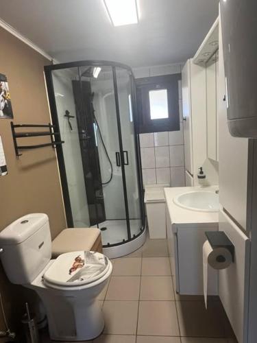a bathroom with a shower and a toilet and a sink at chaletje tis-ier-goed in Jabbeke