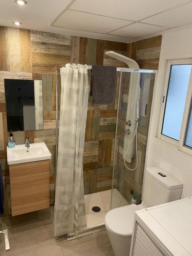 a bathroom with a shower and a toilet and a sink at Amplio apartamento en centro histórico in Valencia