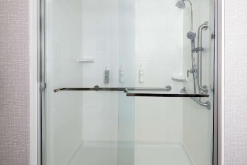 a shower with a glass door in a bathroom at Hampton Inn Petersburg - Southpark Mall in Colonial Heights