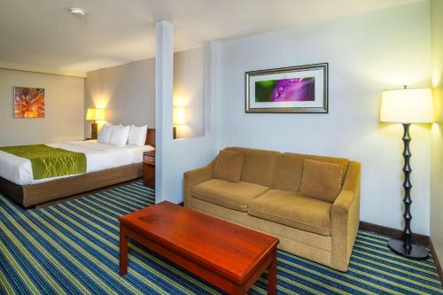 a hotel room with a bed and a couch at Comfort Inn & Suites in Moose Jaw