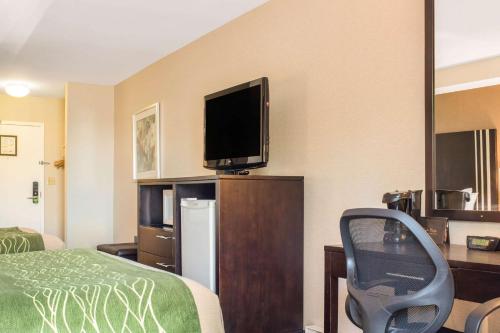 a hotel room with a bed and a tv and a chair at Comfort Inn in Halifax