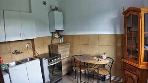 Kuchyňa alebo kuchynka v ubytovaní Studio Orłowo