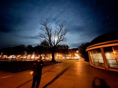 a man standing on a sidewalk near a tree at night at Cozy apartment steps from the spa fountain in Poděbrady