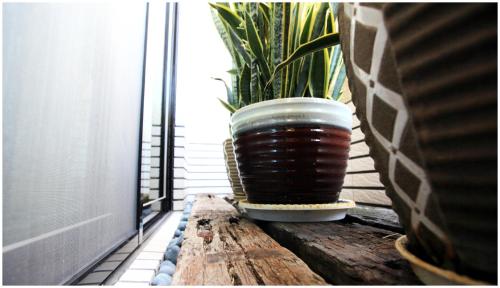 a potted plant sitting on top of a wooden table at Errantry Lodge & Studio in Hualien City