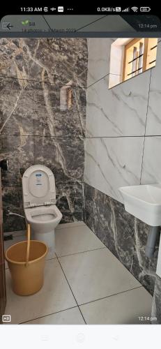 a bathroom with a toilet and a sink at Lotus Munroe Homestay in Munroe Island