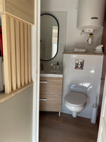 une salle de bain avec toilettes et miroir dans l'établissement Studio climatisé plein centre 3eme étage, à Aix-en-Provence