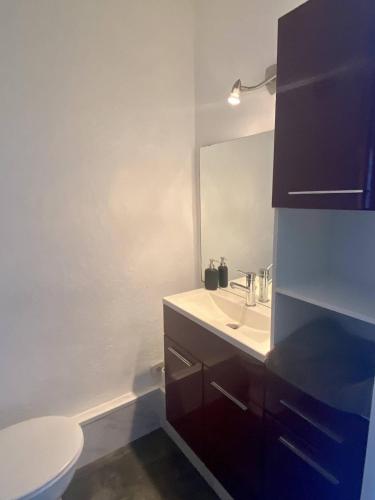 une salle de bain avec un lavabo blanc et des toilettes dans l'établissement SUPERBE STUDIO 4 PERSONNES - TERRASSE- PARKING- PISCINE, au Grau-du-Roi