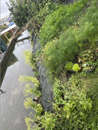 Photo de la galerie de l'établissement Peaceful Garden Room Near City & Sites, à Montivilliers