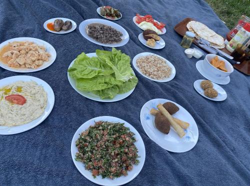 Photo de la galerie de l'établissement Peaceful Garden Room Near City & Sites, à Montivilliers