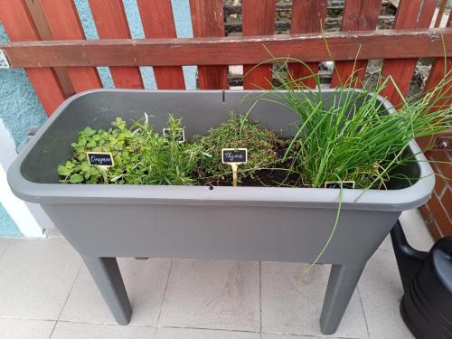 a white planter with some plants in it at Apartmán Waldruh s terasou in Jalŭvčí