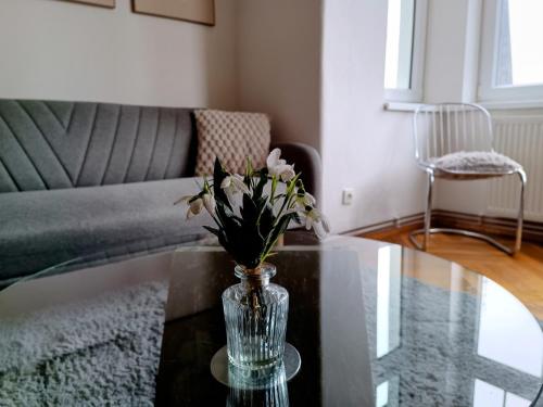 a vase with flowers on a glass table in a living room at Apartmán Waldruh s terasou in Jalŭvčí