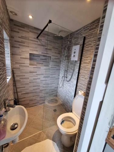 a bathroom with a toilet and a sink and a shower at Studio in Raynes Park