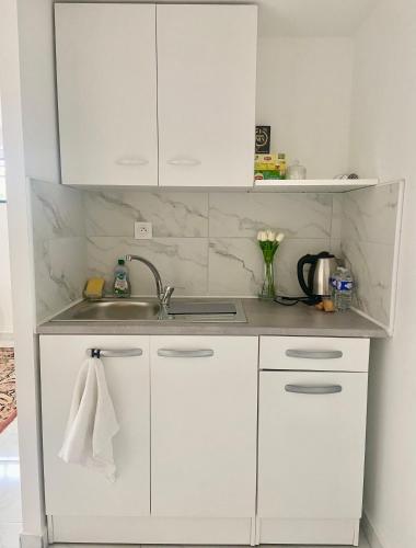 - une cuisine blanche avec un évier et des placards blancs dans l'établissement Studio proche Micropolis & Chu Minjoz, à Besançon