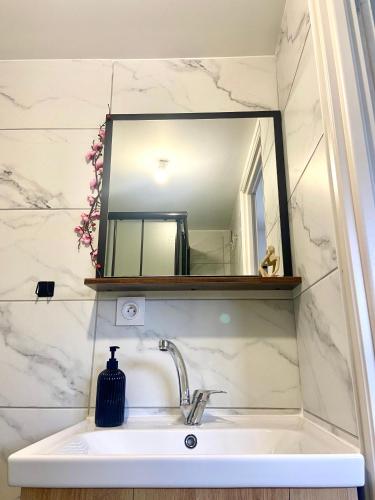 un lavabo de salle de bain avec un miroir au-dessus dans l'établissement Studio proche Micropolis & Chu Minjoz, à Besançon