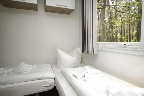 a room with two beds and a window at Tiny Home Strandkoje 823 in Göhren